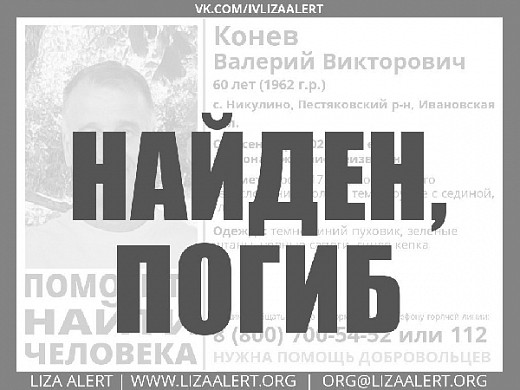 Пропавшего почти месяц назад в Пестяковском районе нижегородца нашли погибшим
